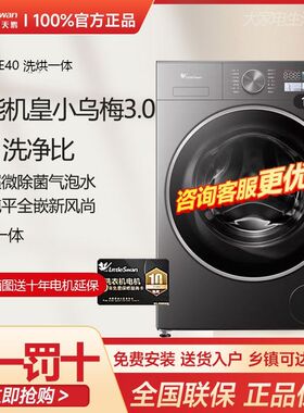 小天鹅纯平全嵌小乌梅3.0家用10KG全自动洗烘滚筒洗衣机TD10DE40