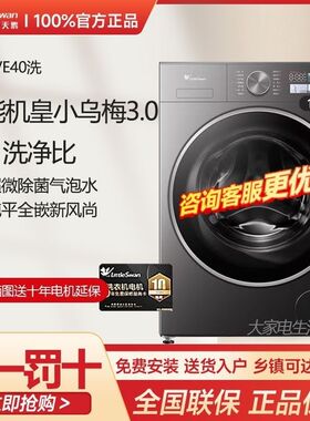Littleswan/小天鹅TG10VE40小乌梅3.0新品上市10KG洗衣机滚筒洗脱