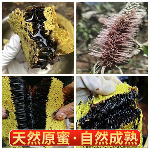 云南黑蜂蜜500g罐装 米团花蜜高山成熟百花蜜 米团花蜜  土特产