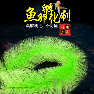 金鱼鱼巢产孵化草孵化毛刷锦鲤产卵草 鱼卵孵化刷水产养殖鱼巢毛