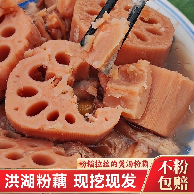 洪湖煲汤粉藕莲藕现挖现发