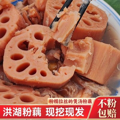 洪湖煲汤粉藕莲藕现挖现发
