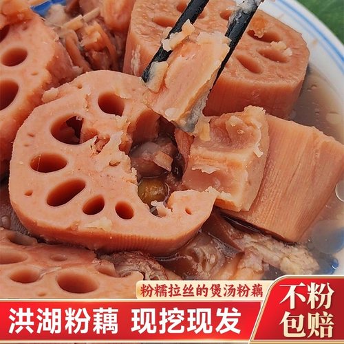 洪湖煲汤粉藕莲藕现挖现发