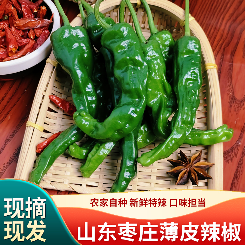 枣庄新鲜辣椒螺丝椒辣子鸡专用