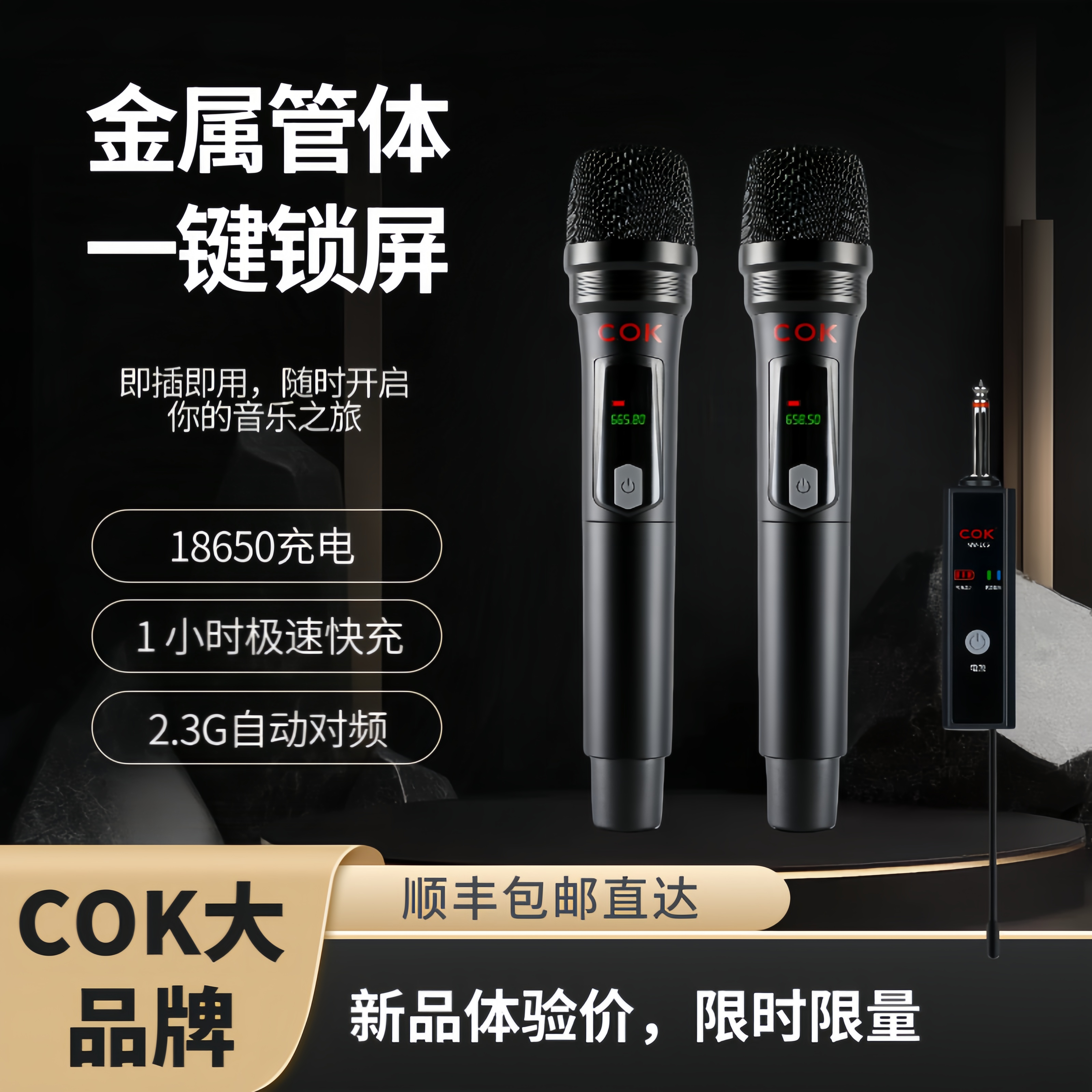 COK万能无线话筒一拖二防啸叫家用k歌大音量户外音响舞台麦克风