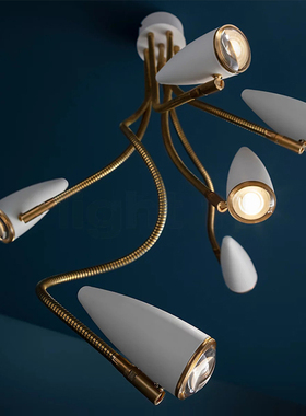 意大利Catellani & Smith CicloItalia FlexC6卧室客厅吸顶灯