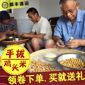 2包 2025新货鸡头米新鲜苏州正宗南塘冰冻芡实200g 手剥小颗