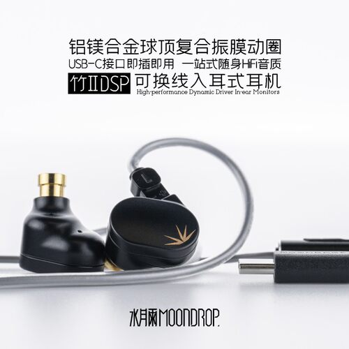 水月雨竹2 DSP解码可换线HiFi带麦可调音TypeC有线耳机