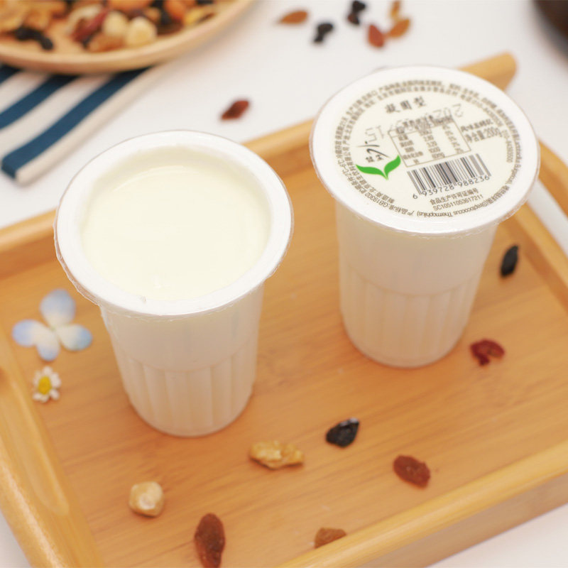 健生酸奶酸牛乳大白杯家庭装大容量低温健康乳酸菌原味零食代餐