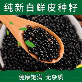 新采摘白鲜皮种子新药材种籽白鲜皮种籽八股牛山牡丹羊鲜草