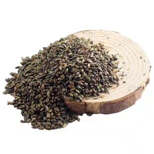 中药材丹参种子丹参子当季新子包邮论斤卖丹参种子丹参种籽