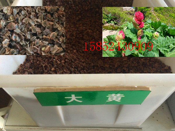 优质花卉种子 花草种子 大黄种子 种子草花 优惠促销 中草药种子