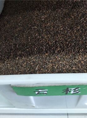 樟子松种子海拉尔松赤松香柏树柏木柳杉五针松北美乔松云杉种子