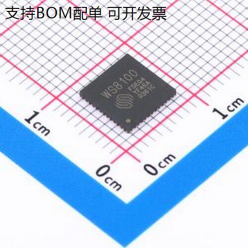 WS8100F5EQ4单晶片(MCU/