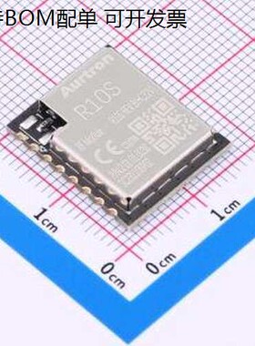 R10S REV.B(HC22V) LoRa模块 LoRa智能型模块 SMD,16x19mm