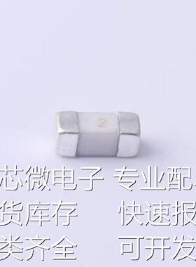 2410LC-2A 一次性保险丝 2A 125V SMD原装现货