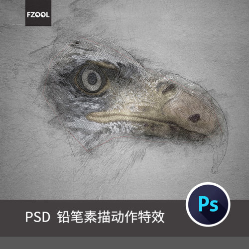 数码照片转铅笔画素描效果(4)平面设计素材艺术手绘模板PS动作