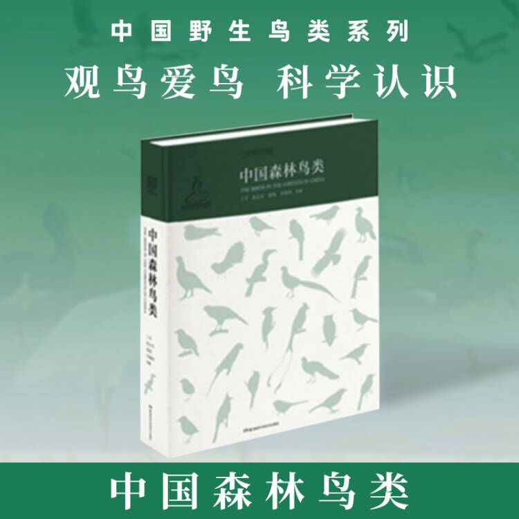 中国森林鸟类 野鸟形态动物图鉴科普 1000余种中国森林鸟类 野生鸟类