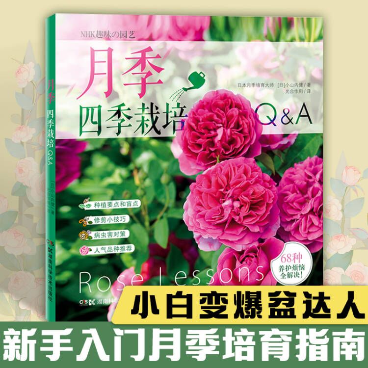 月季四季栽培  详解月季的68种常见养护难题 月季种植书 养花书籍种花大全 新手 园艺书籍 栽培入门庭院盆栽室外小山内健 书籍/杂志/报纸 园艺 原图主图