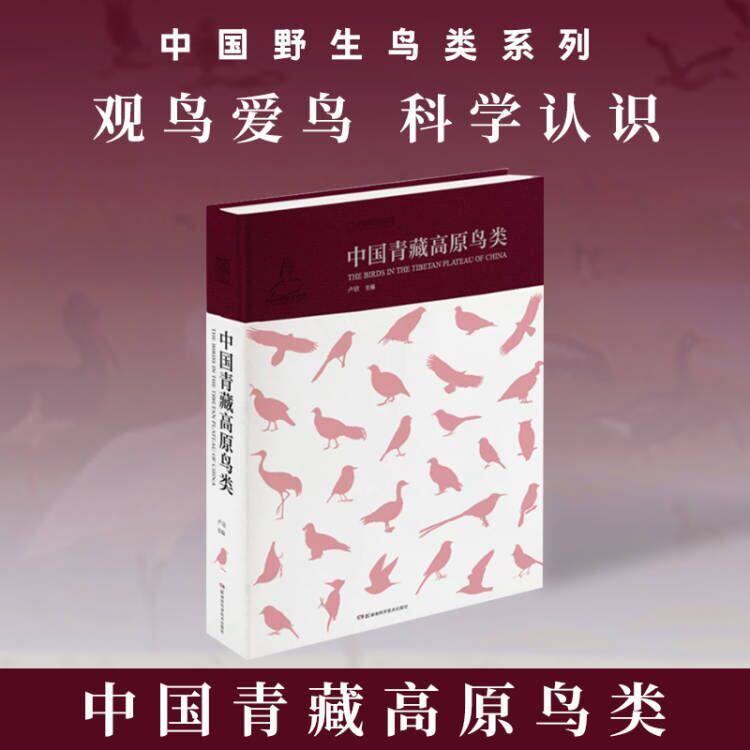 中国中国青藏高原鸟类