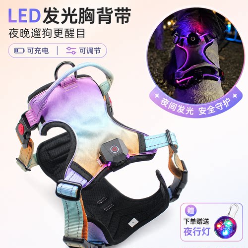 LED发光夜间遛狗牵引胸背带渐变