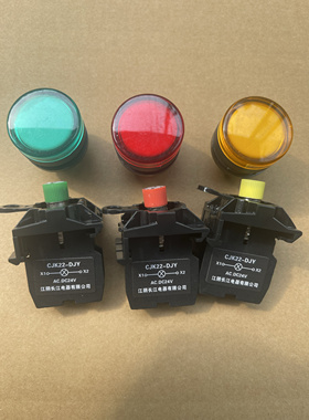 定制 指示灯 信号灯CJK22-DJY CJK22-DP Y LA42 天长江逸