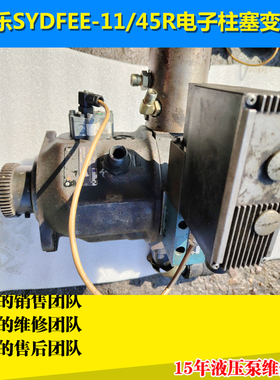 力士乐电子柱塞变量泵维修 SYDFEE-11/45RN00-10E3CX2M力劲注塑机