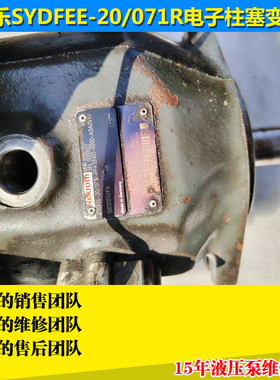 力劲150吨注塑机液压泵億利达 160吨折压机油泵SYDFEE-20/071维修