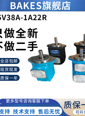 BAKES压铸机叶片泵35V-35A-1B 22R注塑机油泵45V-60A-86C-22R