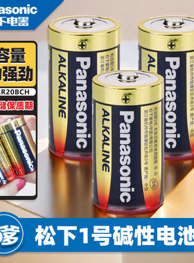 松下1号电池一号大号D型碱性电池LR20燃气灶热水器发那科专用电池