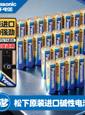 松下EVOLTA进口5号电池碱性电池AA干电池7号AAA玩具数码相机通用