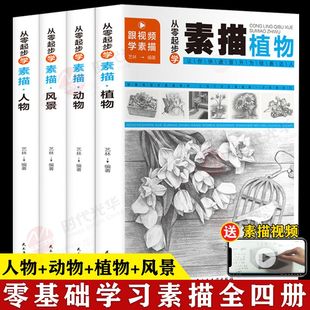 素描书入门教材铅笔素描基础教程书籍学画画绘画入门自学零基础早教宝宝描摹画画故事童话亲子低幼画本识字童谣大班幼教描红小班拼