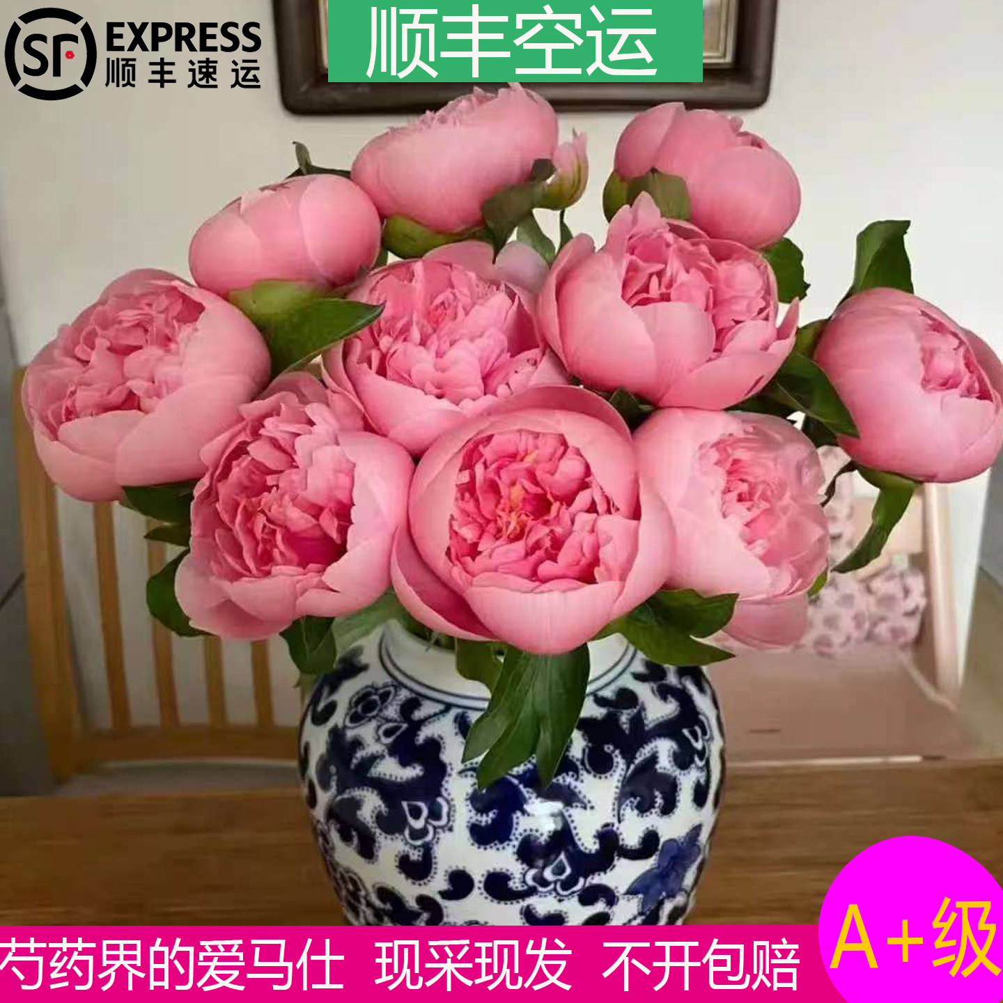 室内插花三文鱼芍药水养荷兰进口图片