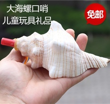 包邮天然海贝工艺品海螺号角贝壳口哨响螺羊角号赤旋螺礼品纪念品