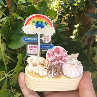 天然海螺贝壳木制底座亚克力小摆台海岛礼品励志个性摆件桌面装饰