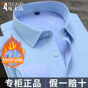 商务休闲职业工正装 啄木鸟加绒保暖衬衫 秋冬季 长袖 蓝色棉衬衣 男士