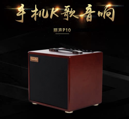 丽声新款手机K歌木吉他音箱P10USB充电蓝牙户外K歌带无线麦