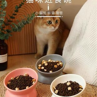 猫碗陶瓷斜口保护颈椎狗食盆宠物猫咪喝水饭碗慢食猫粮防打翻