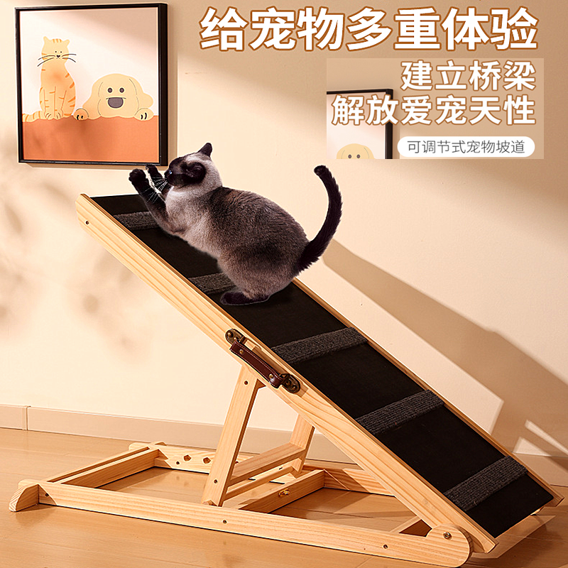 猫咪爬坡梯子抓睡玩耍斜坡道台阶