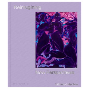 英文原版  重新想象:新视角 Reimagining : New Perspectives 进口正版书籍