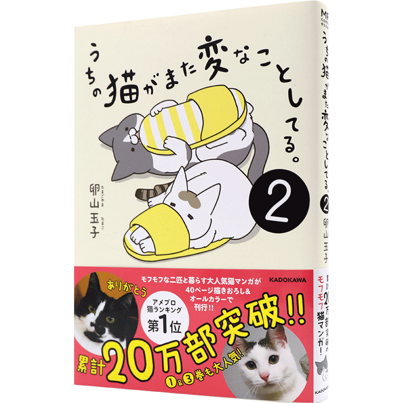 现货【深图日文】うちの猫がまた変なことしてる。２ 我家的猫又在干怪事了 2 卵山 玉子 KADOKAWA 进口书 正版