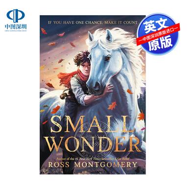 英文原版 小奇迹 Small Wonder 奇幻冒险小说青少年儿童英语故事读物 纽约时报畅销书作者Ross Montgomery 我叫勒贝尔作品