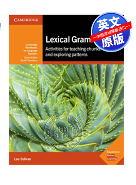 英文原版 词汇语法 教学和探索模式实用课堂建议 剑桥语言教师手册 Lexical Grammar Cambridge Handbooks for Language Teachers