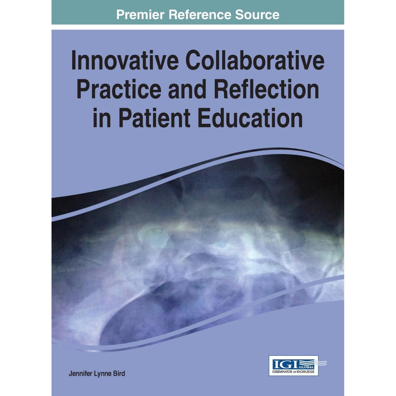 【预售 按需印刷】英文原版患者教育中的创新协作实践与反思Innovative Collaborative Practice and Reflection in Patient Educa