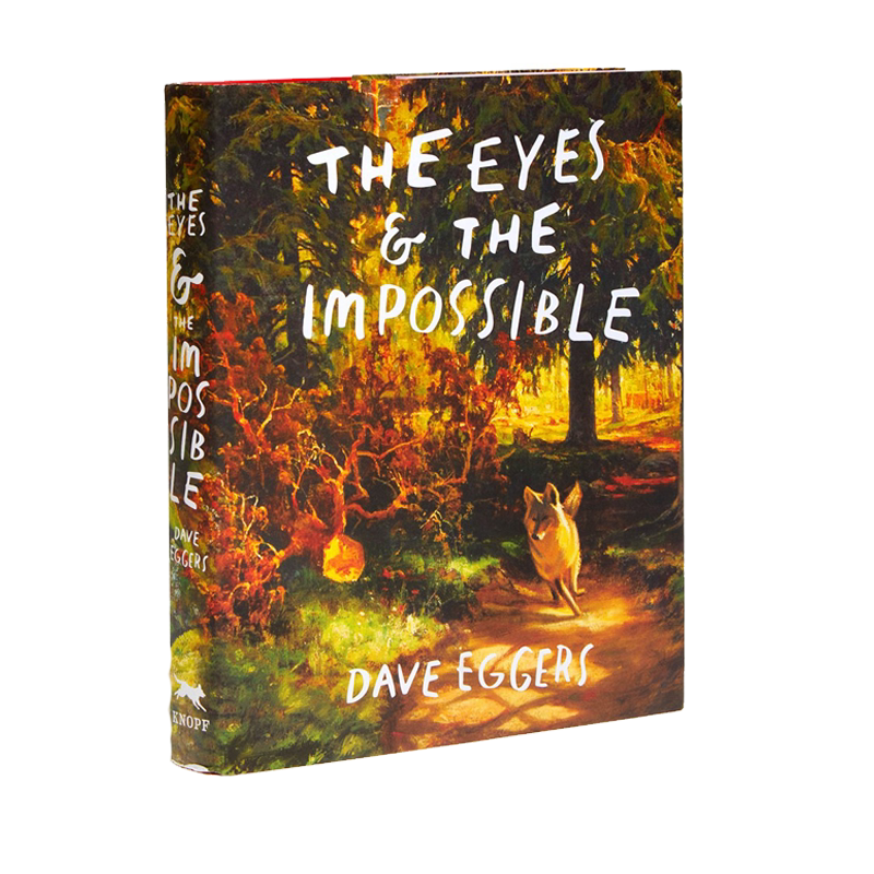 英文原版 纽伯瑞 眼睛与不可能 2024金奖 精装友谊故事绘本小说 Shawn Harris The Eyes and the Impossible 观察者与奇迹