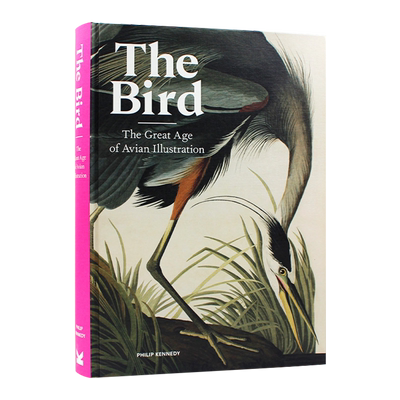 英文原版鸟鸟类插图的伟大时代