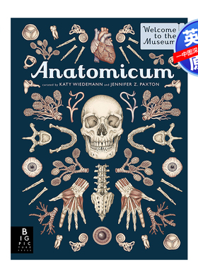 【预售英文原版】解剖学:欢迎来到博物馆 Anatomicum: Welcome to the Museum
