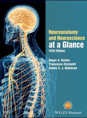 【预售 按需印刷】英文原版神经解剖学与神经科学AAG 5eNeuroanatomy & Neuroscience AAG 5e原装进口正版书籍
