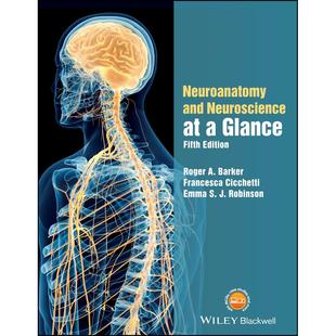 5e原装 书籍 英文原版 Neuroscience 5eNeuroanatomy 按需印刷 神经解剖学与神经科学AAG 进口正版 AAG 预售