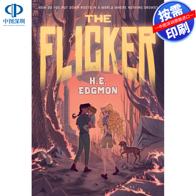 预售 按需印刷 英文原版 闪烁 Flicker 进口书籍正版